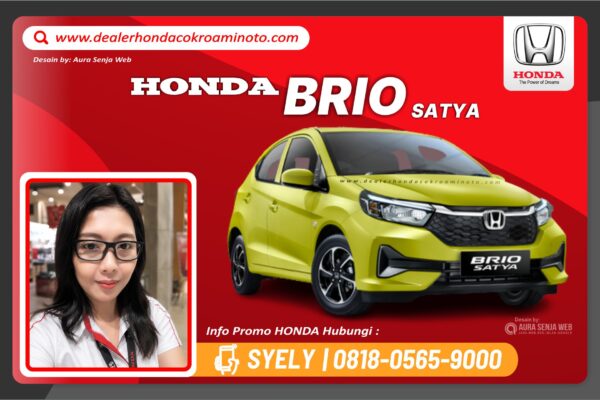 NEW BRIO SATYA